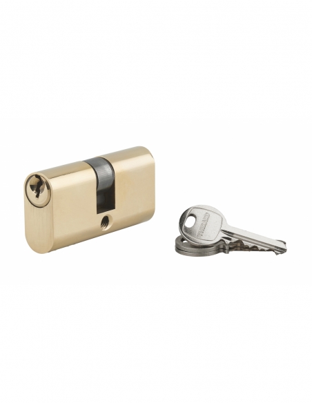 Cylindre de serrure double entrée Ovale, 28x28mm, laiton, anti-arrachement, 3 clés - THIRARD FBA
