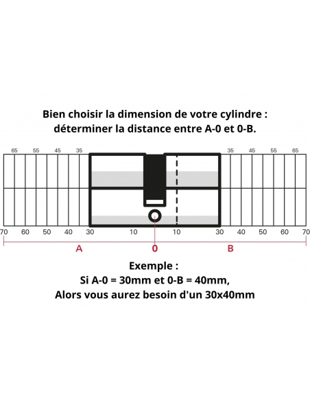 Cylindre de serrure à double entrée Trafic 6, 30x30mm, nickel, anti-arrachement, anti-perçage, 5 clés - THIRARD FBA