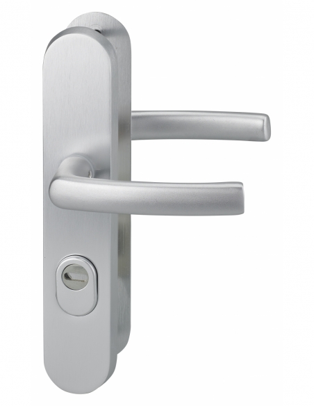 Ensemble poignées de sécurité pour porte d'entrée, béquille double, entr'axe de fixation 216mm, argent - THIRARD FBA