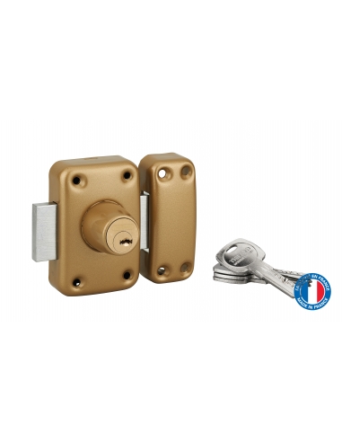 Verrou double entrée Trafic 6 pour porte d'entrée, cylindre 45mm, acier, 4 clés, époxy or - THIRARD FBA