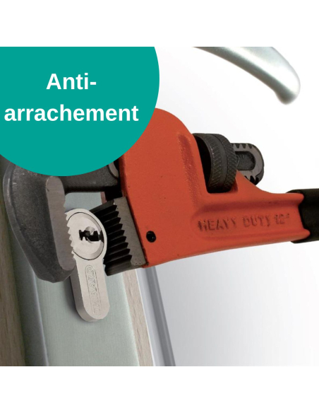 Verrou double entrée Trafic 6 pour porte d'entrée, cylindre 45mm, acier, 4 clés, époxy or - THIRARD FBA