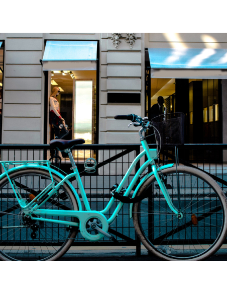 Chaîne acier gainé nylon Loops, vélo, moto, barrières, 1.2m, noir - THIRARD Chaîne