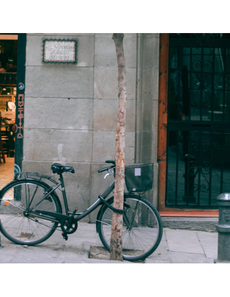 Chaîne acier gainé nylon Loops, vélo, moto, barrières, 1.2m, noir - THIRARD Chaîne