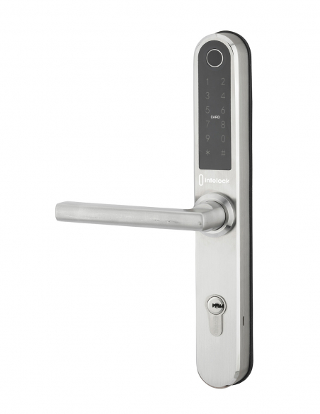 Paire de poignées connectées Intelock Multi, pour porte d'entrée, entr'axes 70mm, argent - INTELOCK FBA