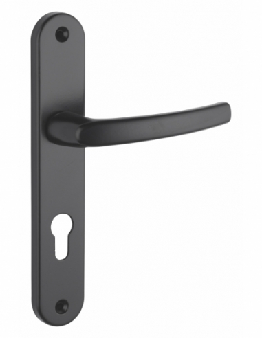 Ensemble de poignées pour porte d'entrée Sultane trou de cylindre, carré 7mm, entr'axes 195mm, anthracite - THIRARD FBA