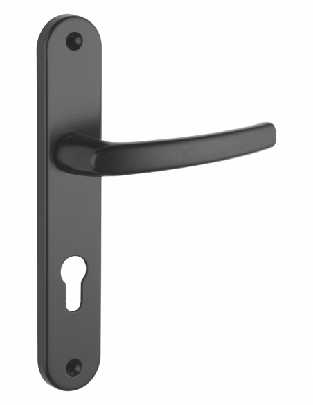 Ensemble de poignées pour porte d'entrée Sultane trou de cylindre, carré 7mm, entr'axes 195mm, anthracite - THIRARD FBA