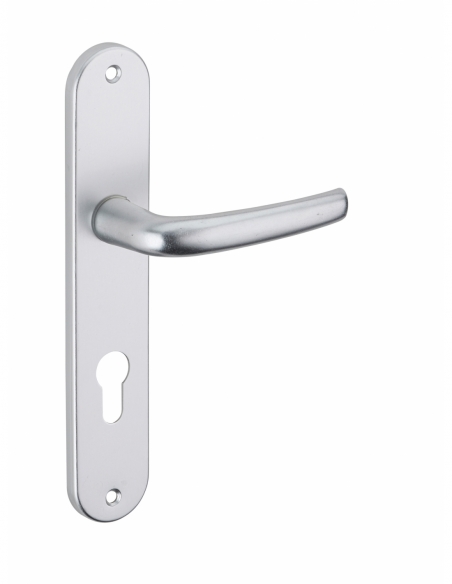 Ensemble de poignées pour porte d'entrée Maia trou de cylindre, carré 7mm, entr'axes 195mm, argent - THIRARD FBA