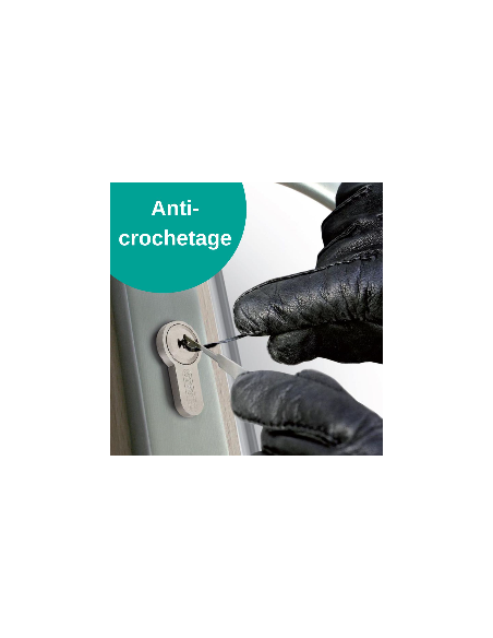 Verrou à bouton Trafic 6 pour porte d'entrée, cylindre 45mm, acier, 4 clés, époxy or - THIRARD FBA