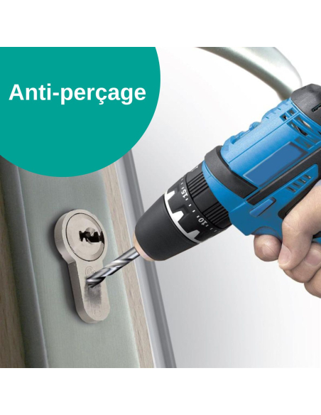 Verrou à bouton Trafic 6 pour porte d'entrée, cylindre 45mm, acier, 4 clés, époxy or - THIRARD FBA