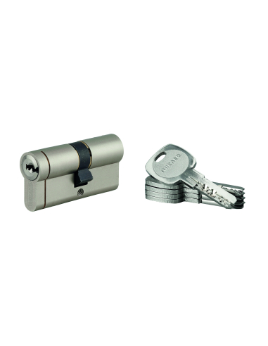 Lot de 10 cylindres Transit 1 30x35mm, nickelé, 5 clés - THIRARD Cylindres à double entrée