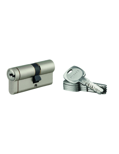 Lot de 10 cylindres Transit 1 30x40mm, nickelé, 5 clés - THIRARD Cylindres à double entrée