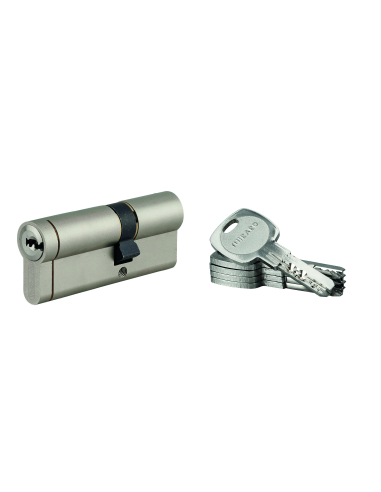 Lot de 10 cylindres Transit 1 30x50mm, nickelé, 5 clés - THIRARD Cylindres à double entrée
