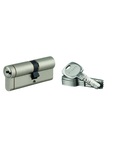 Lot de 10 cylindres Transit 1 35x45mm, nickelé, 5 clés - THIRARD Cylindres à double entrée