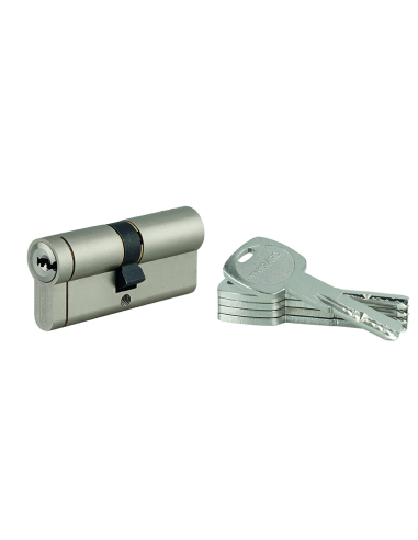 Cylindre de serrure débrayable Transit 1, 35x35mm, 5 clés, nickelé - THIRARD FBA