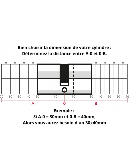 Cylindre de serrure double entrée, 30x30mm, anti-arrachement, nickel, 3 clés - THIRARD FBA