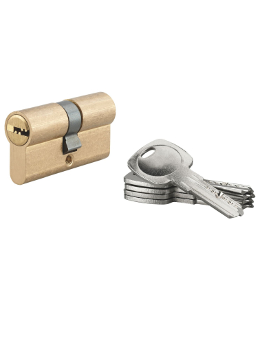 Cylindre de serrure à double entrée 5G, 30x30mm, laiton, anti-arrachement, 5 clés - SP FBA