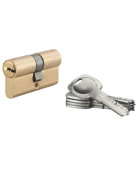 Cylindre de serrure à double entrée 5G, 30x30mm, laiton, anti-arrachement, 5 clés - SP FBA