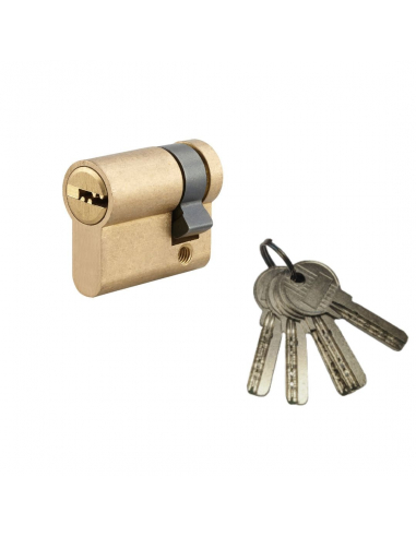 Demi-cylindre de serrure 5G, 30x10mm, laiton, anti-arrachement, 5 clés - SP FBA