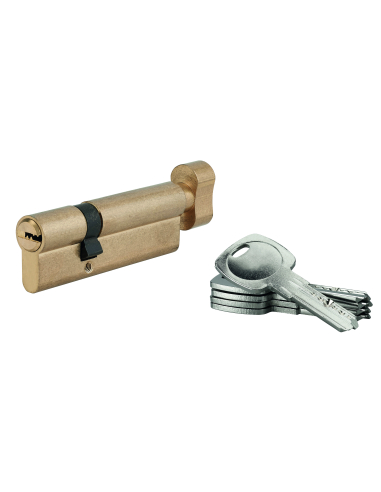 Cylindre 60x30mm, clés réversibles, 5 clés - SP Cylindres à bouton
