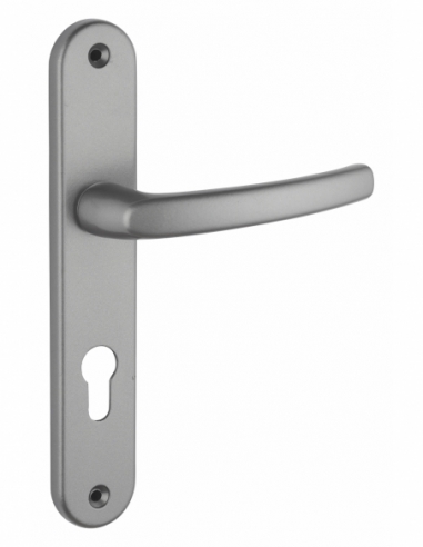 Ensemble de poignées pour porte d'entrée Sultane trou de cylindre, I, carré 7mm, entr'axes 195mm, gris - THIRARD FBA