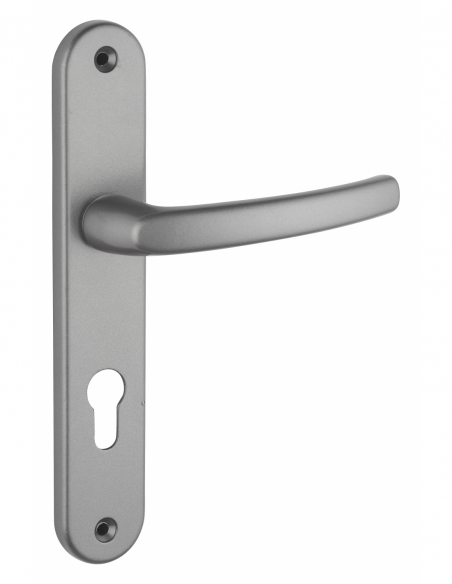 Ensemble de poignées pour porte d'entrée Sultane trou de cylindre, I, carré 7mm, entr'axes 195mm, gris - THIRARD FBA