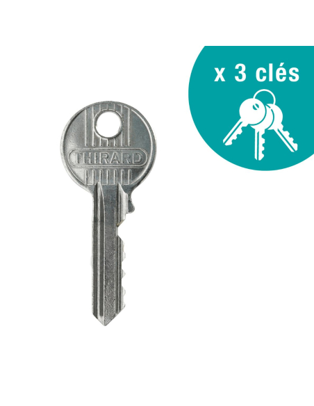 Verrou à bouton Apache pour porte d'entrée, cylindre 50mm, acier, 3 clés, époxy or - THIRARD FBA
