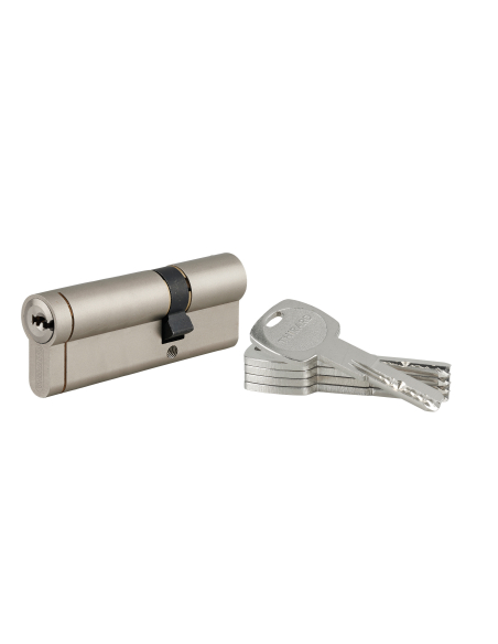 Cylindre de serrure débrayable Transit 1, 30x60mm, 5 clés, nickelé - THIRARD FBA