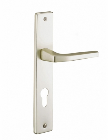 Ensemble de poignées pour porte d'entrée Picardie trou de cylindre, carré 7mm, entr'axes fix.195mm, couleur champagne - THIRA...