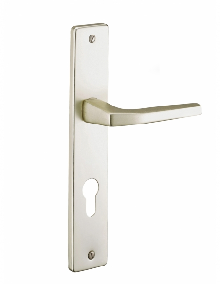 Ensemble de poignées pour porte d'entrée Picardie trou de cylindre, carré 7mm, entr'axes fix.195mm, couleur champagne - THIRA...