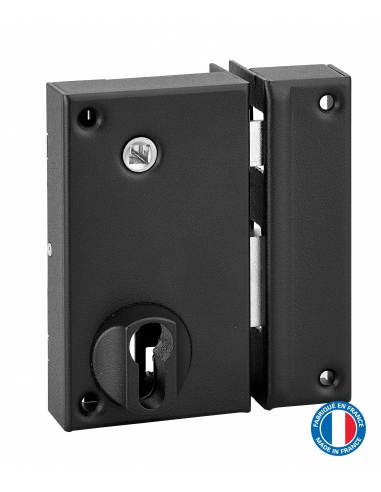 Boitier de serrure verticale en applique double entrée à fouillot pour entrée, axe 45mm, droite, 75x130mm, noir - THIRARD FBA