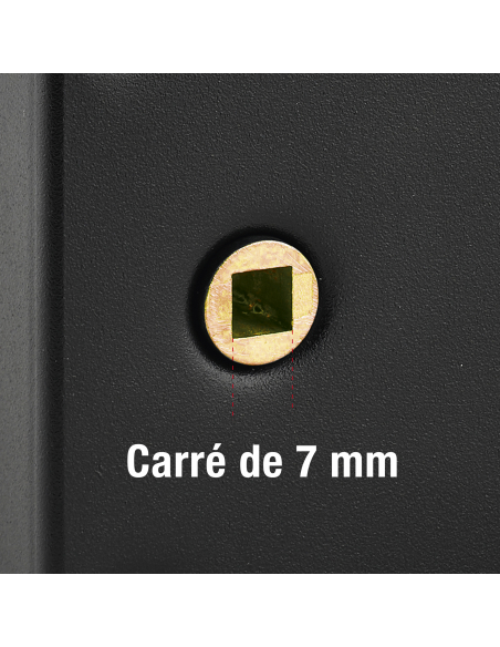 Serrure horizontale en applique à clé à fouillot pour portail, droite, axe 56mm, 140x82mm, noir, 2 clés - THIRARD FBA