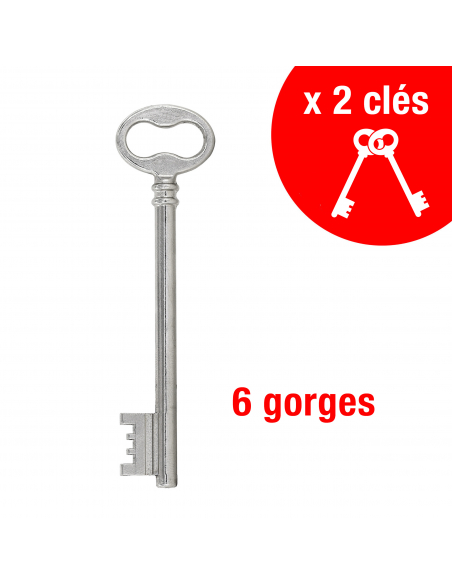 Serrure horizontale en applique à clé à fouillot pour portail, droite, axe 56mm, 140x82mm, noir, 2 clés - THIRARD FBA