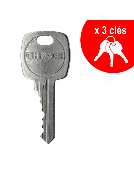 Cylindre de serrure double entrée, 40x60mm, anti-arrachement, nickel, 3 clés - THIRARD FBA