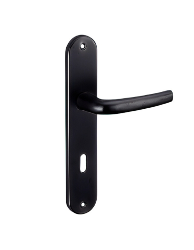 Ensemble de poignées pour porte intérieure Maia trou de clé, carré 7mm, entr'axes 195mm, noir - THIRARD FBA