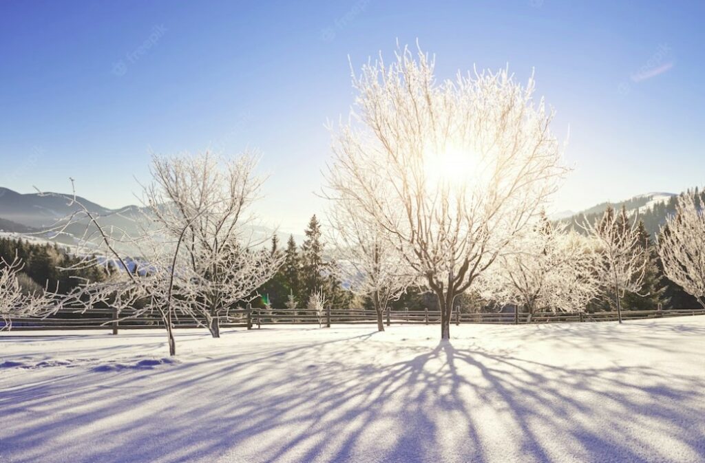 préparer sa maison pour l'hiver 